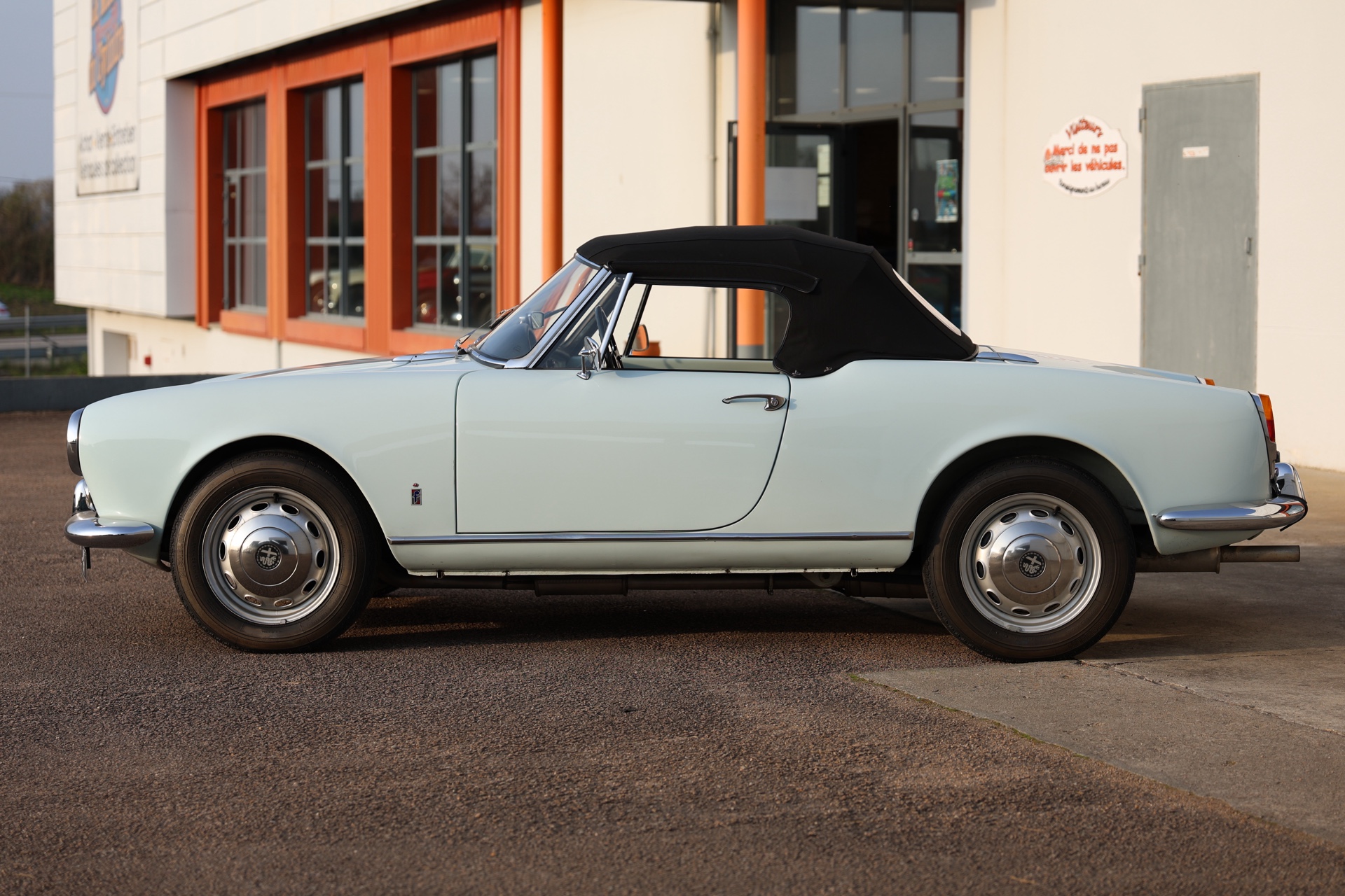 Alfa Roméo Spider Giulia Bleu Ciel 1963 – Image 4