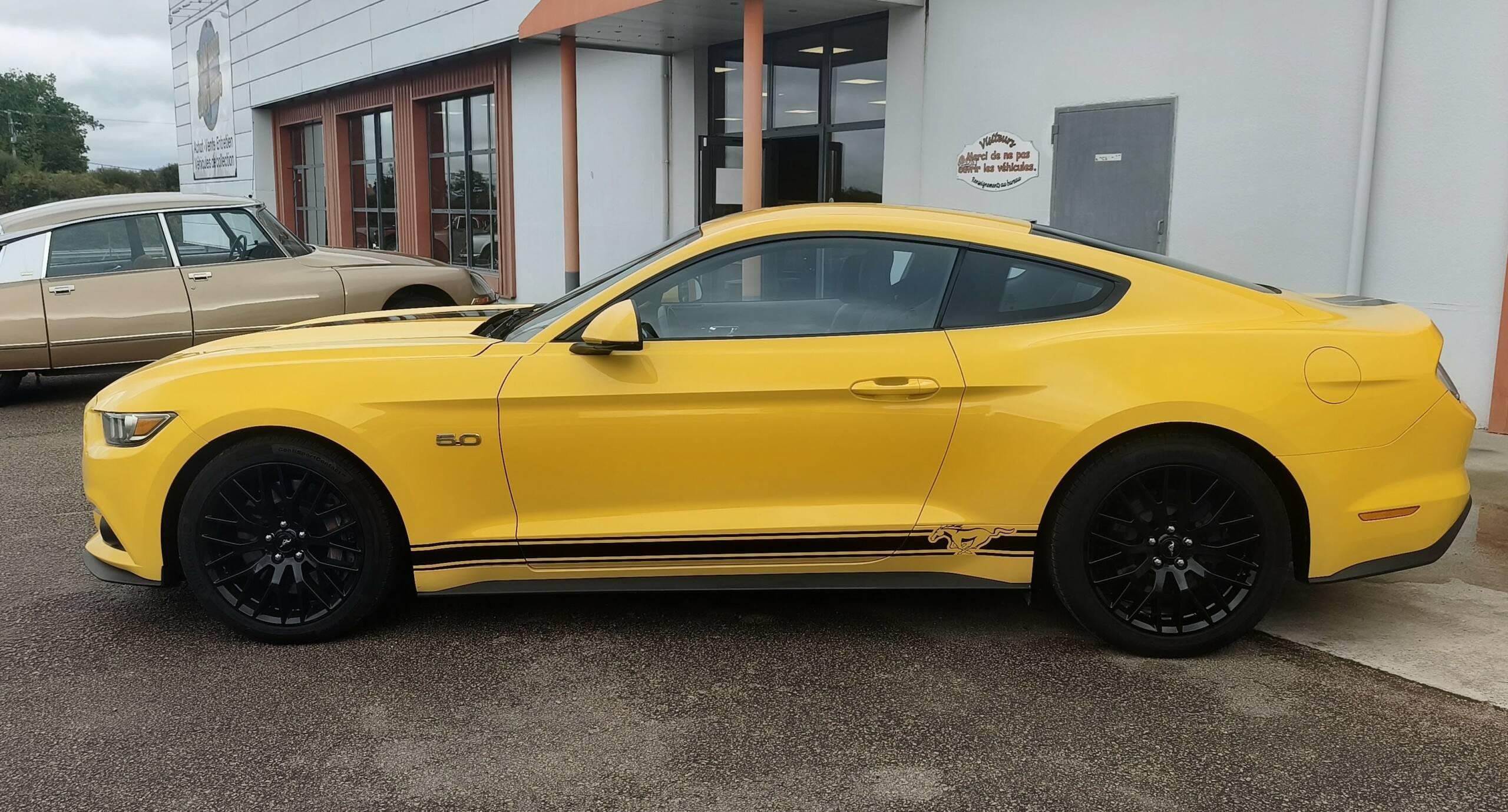 FORD MUSTANG FASTBACK 5.0 V8 GT PREMIUM – Image 6