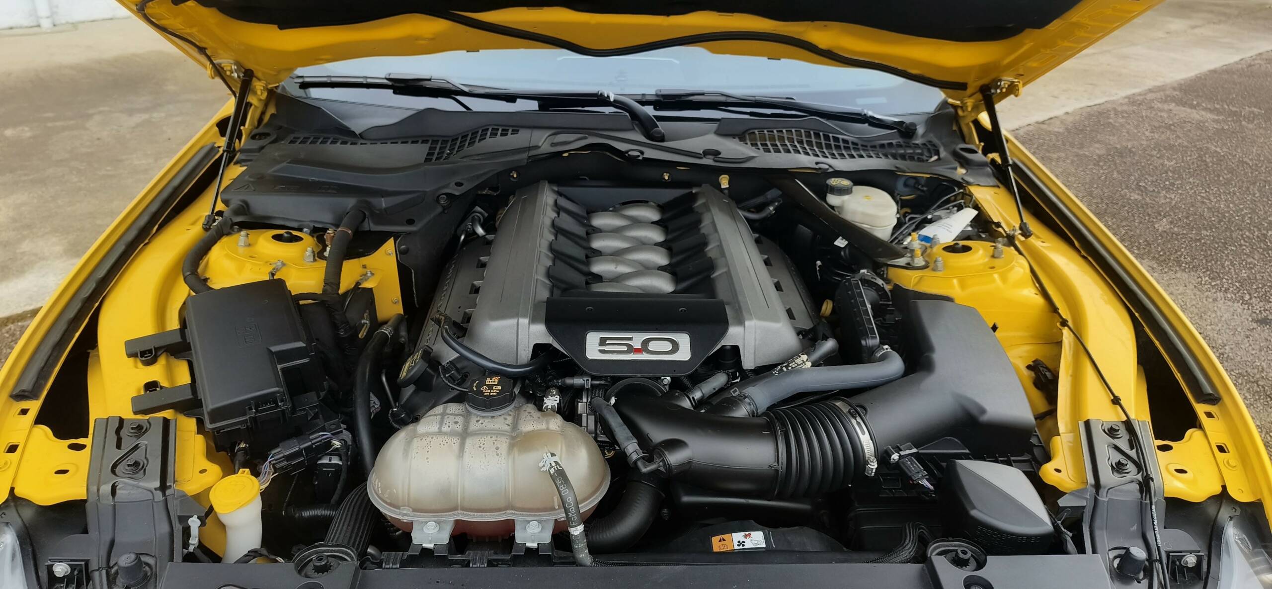 FORD MUSTANG FASTBACK 5.0 V8 GT PREMIUM – Image 15