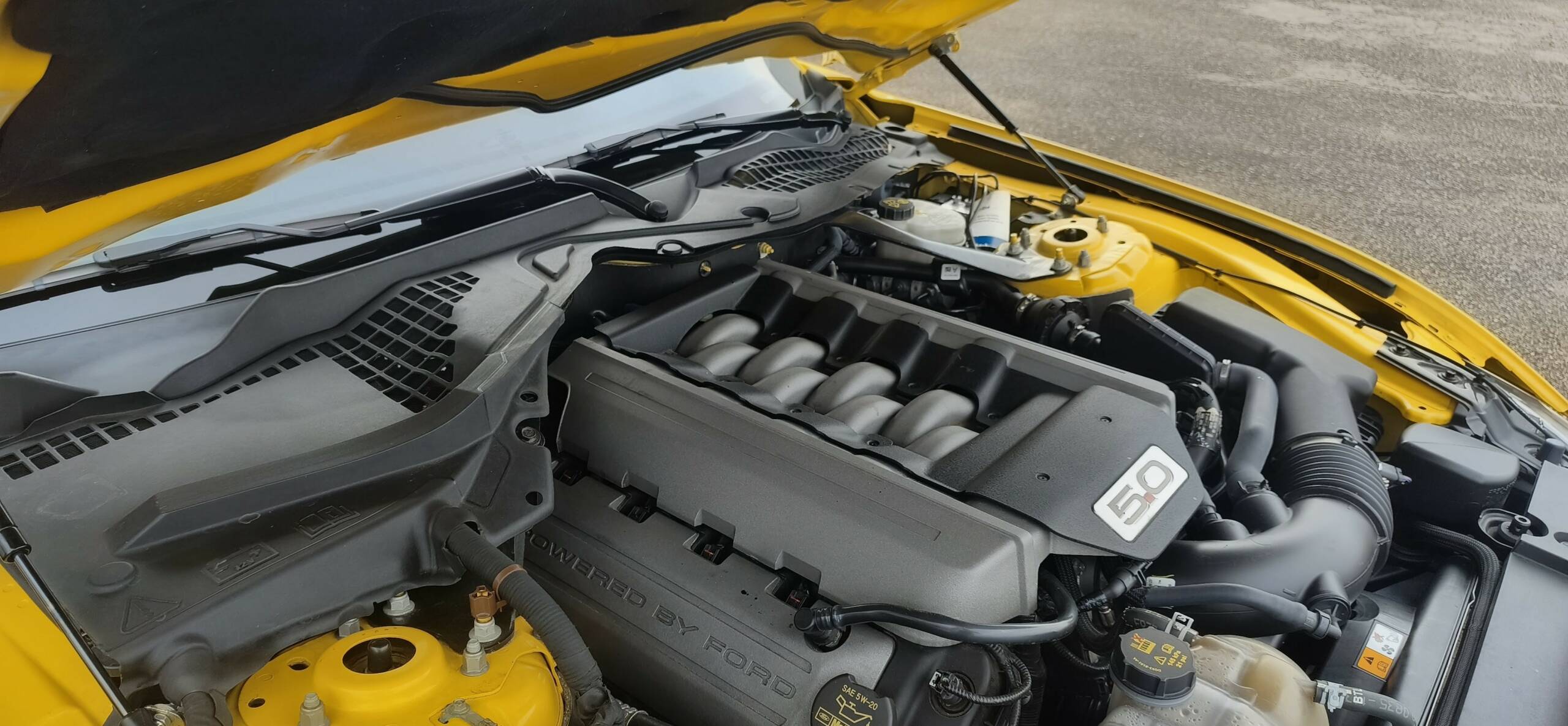 FORD MUSTANG FASTBACK 5.0 V8 GT PREMIUM – Image 16